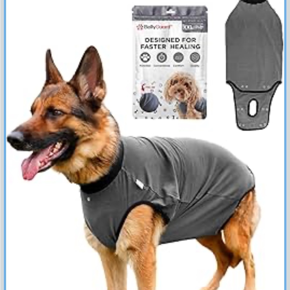 Gray Dog post op surgery suit